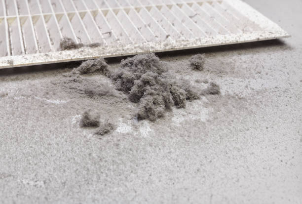Best Ductwork Cleaning Services  in Chesterfield, SC