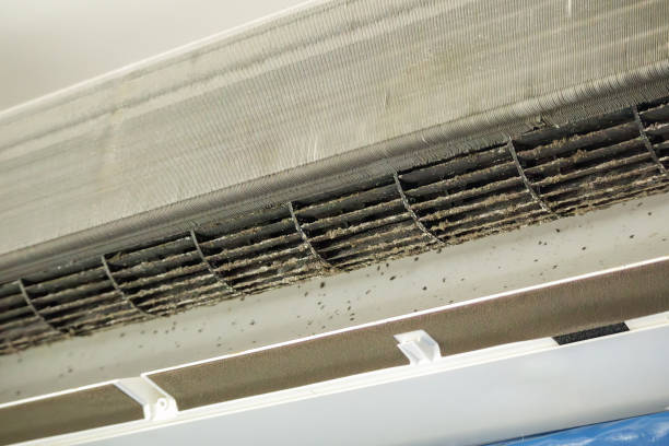 Best Affordable Duct Cleaning Services  in Chesterfield, SC